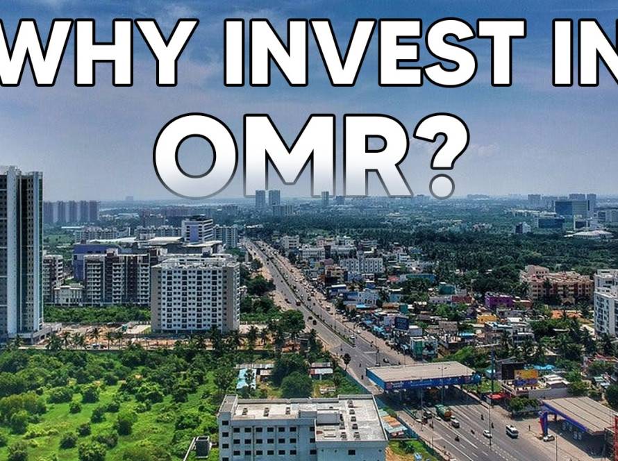 invest in omr