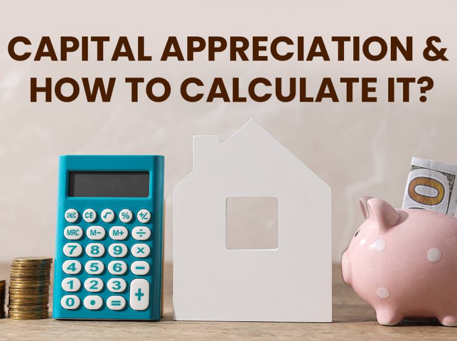 Capital Appreciation