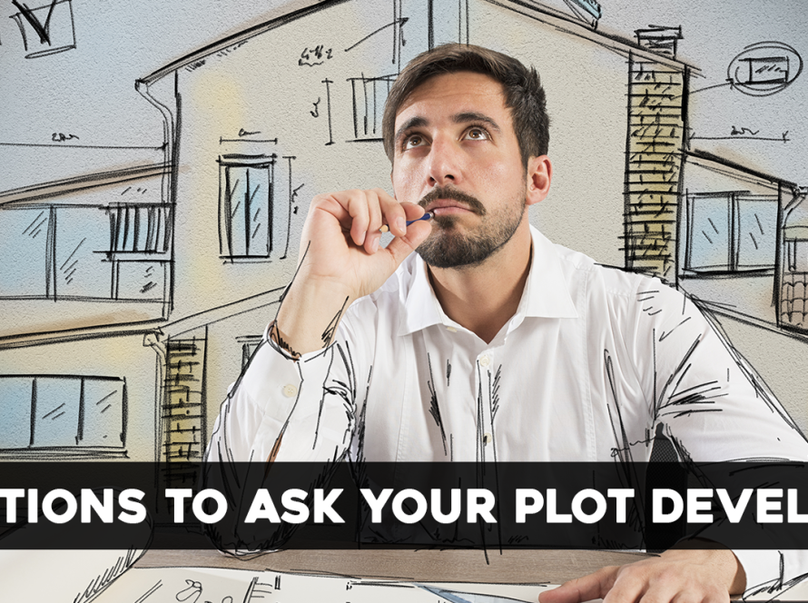 Questions to Ask Your Plot Developer