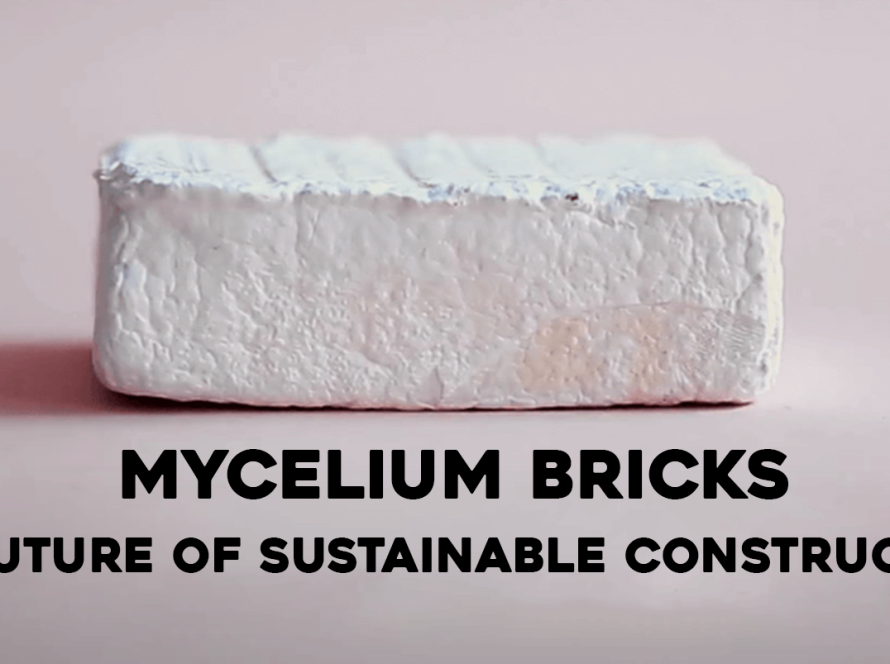 Mycelium Bricks – The Future of Sustainable Construction