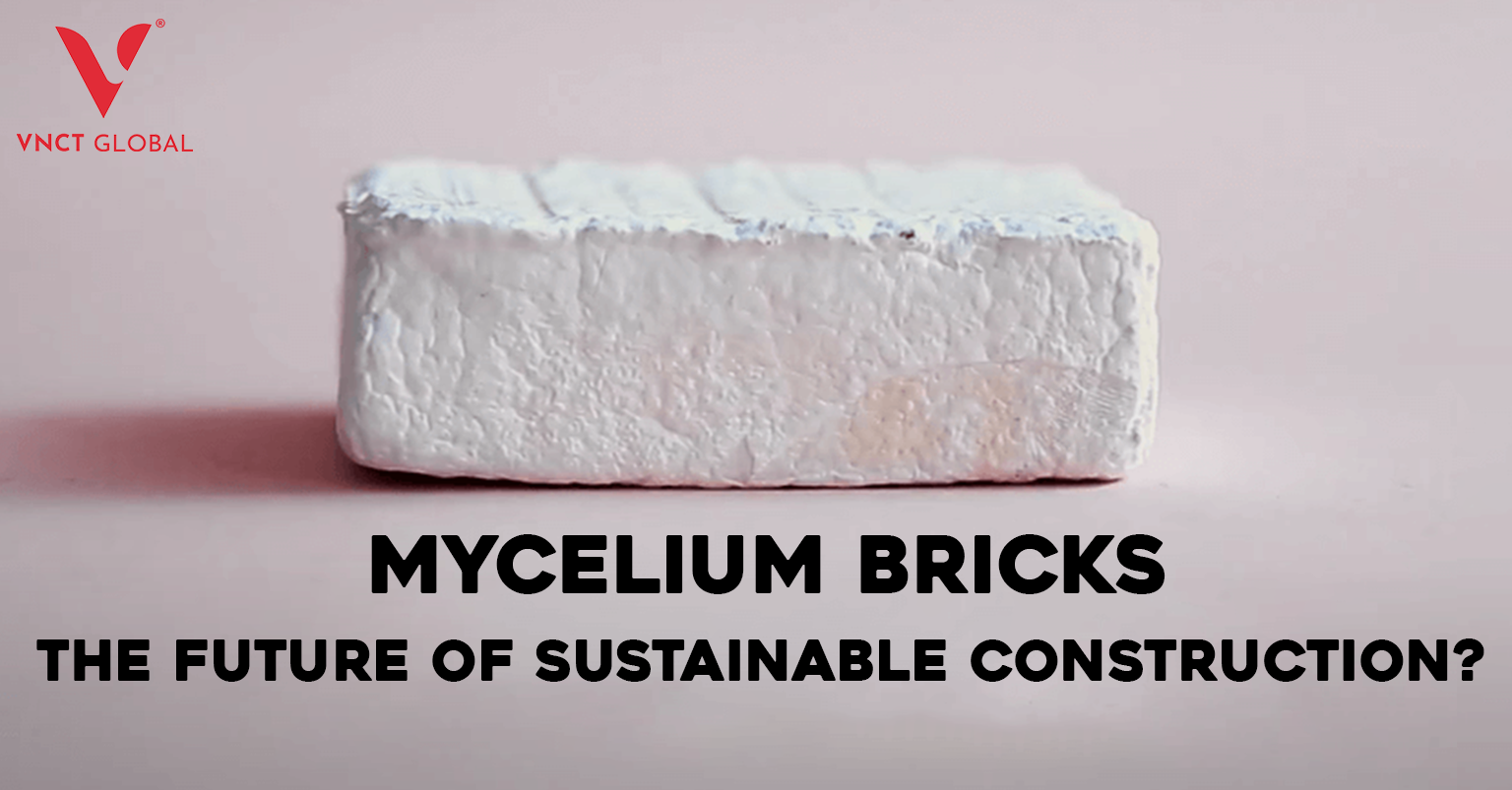 Mycelium Bricks – The Future of Sustainable Construction