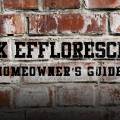 Brick Efflorescence A Homeowner’s Guide to White Stains