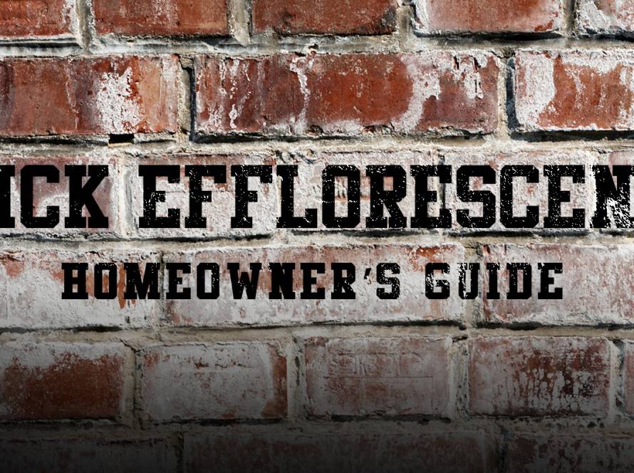 Brick Efflorescence A Homeowner’s Guide to White Stains