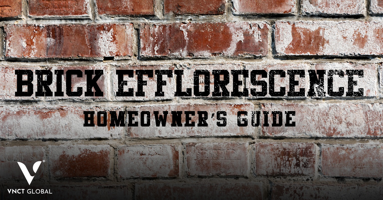 Brick Efflorescence A Homeowner’s Guide to White Stains
