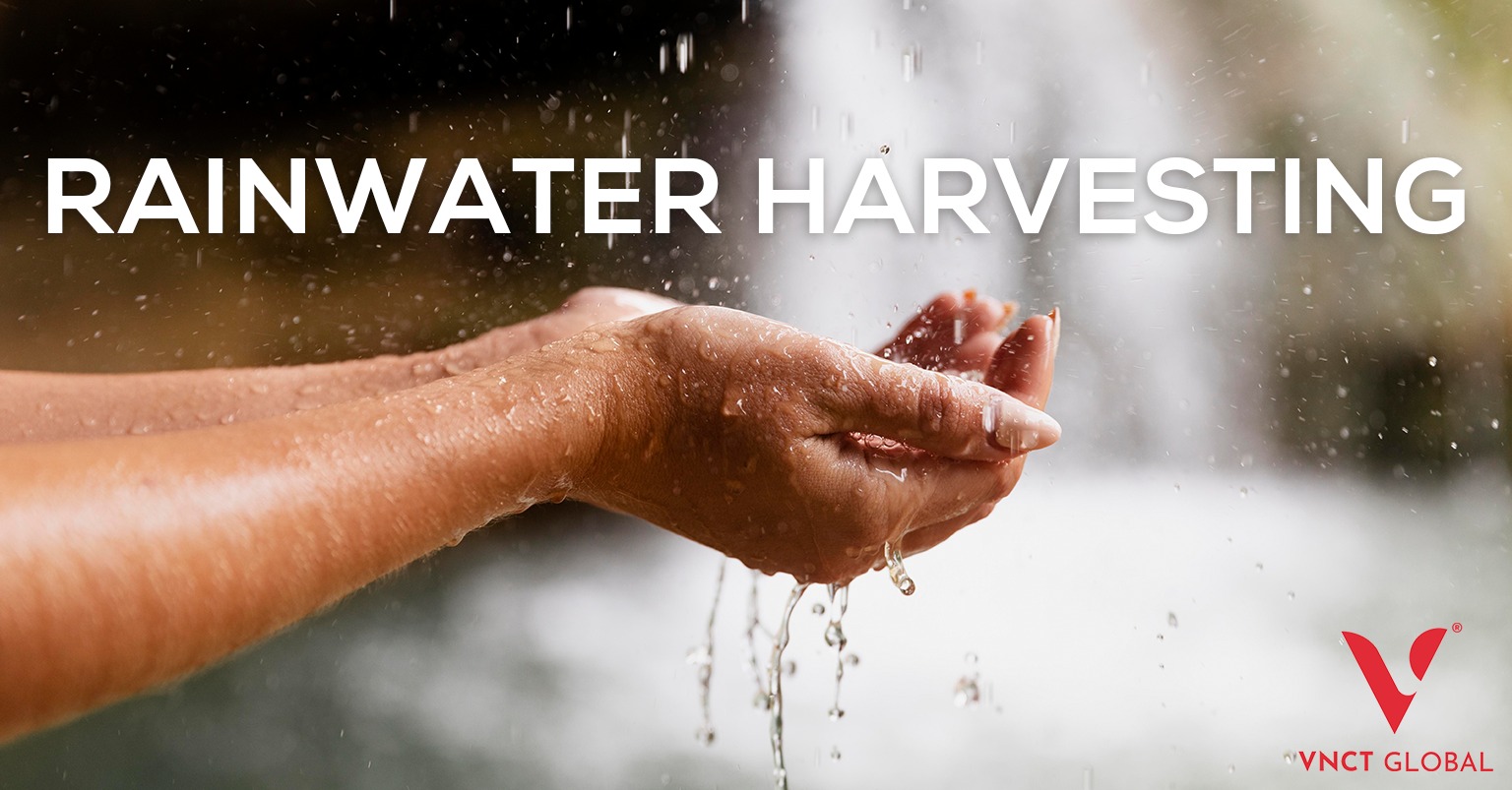 Rainwater Harvesting System – Steps, Advantages & Types