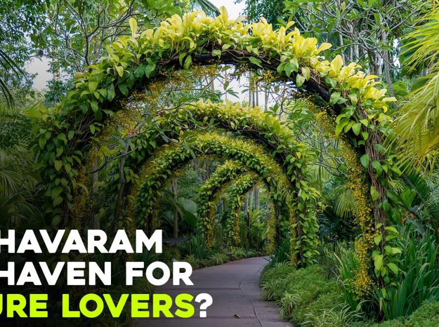 Top Reasons why Madhavaram is a haven for Nature Lovers