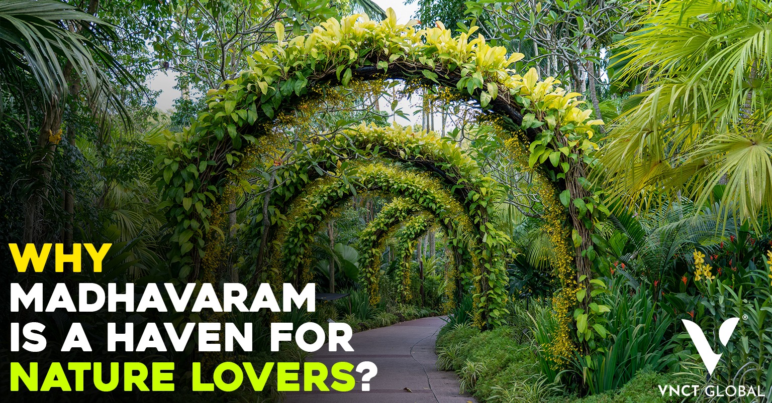 Top Reasons why Madhavaram is a haven for Nature Lovers